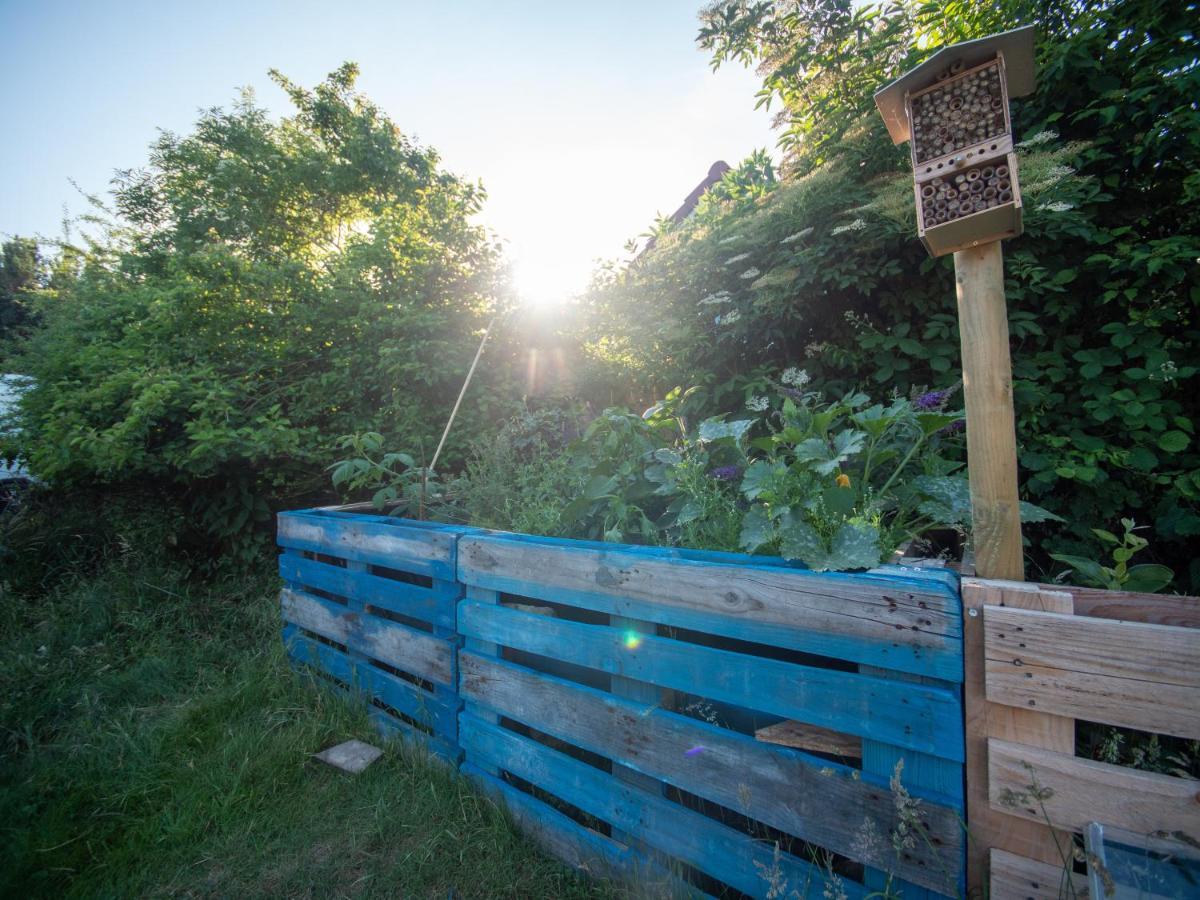 Hostel Oder Ferienwohnung 1-16 Personen Im Blauen Haus Femern Eksteriør billede